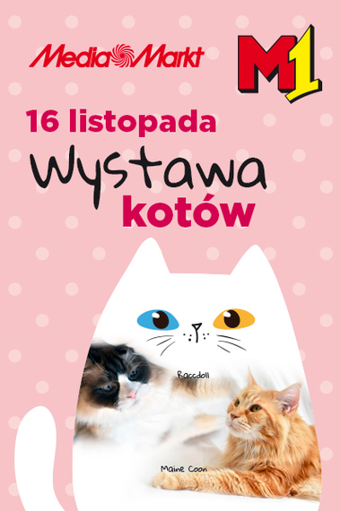 Wystawa kotów