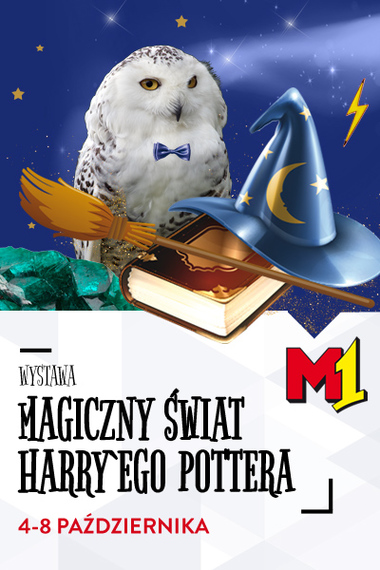 Magiczny Świat Harry'ego Pottera 