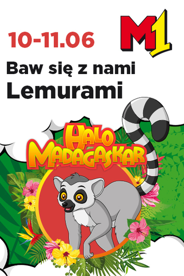 Park zabaw Halo Madagaskar