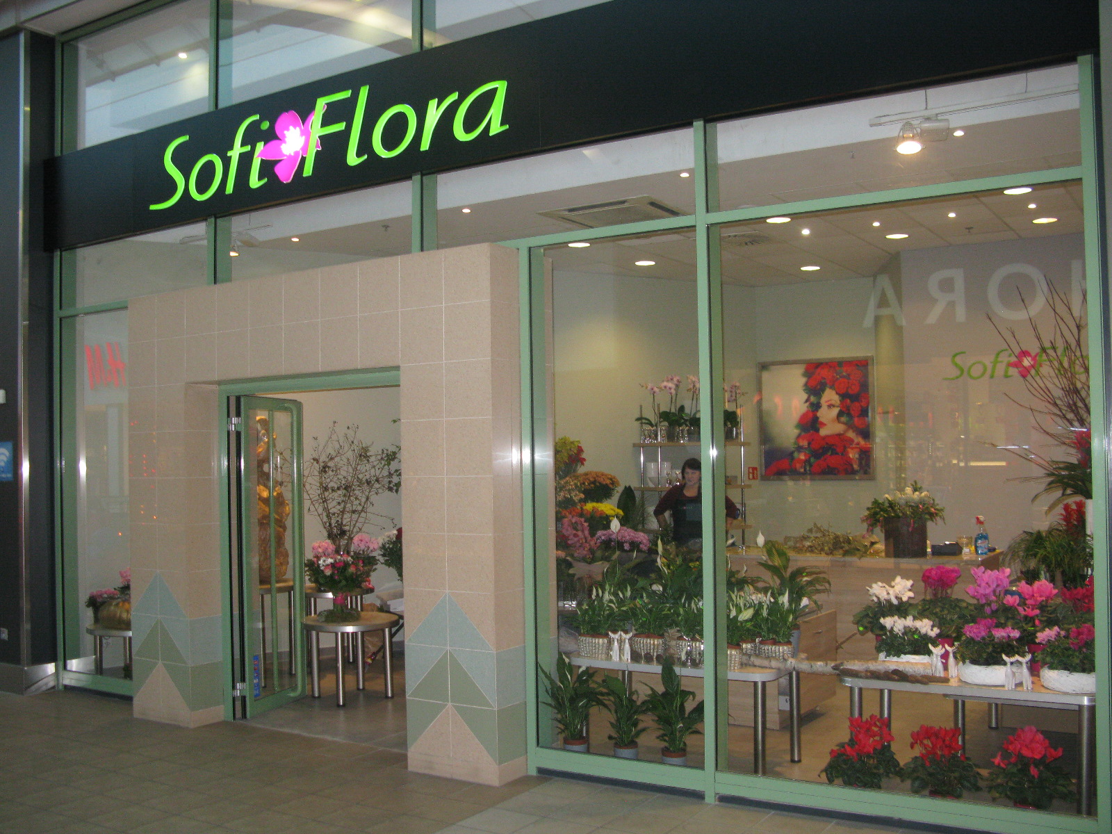Kwiaciarnia SOFI FLORA